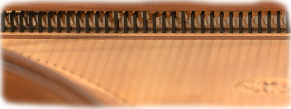 Das Cembalo des Barockorchesters amici musici